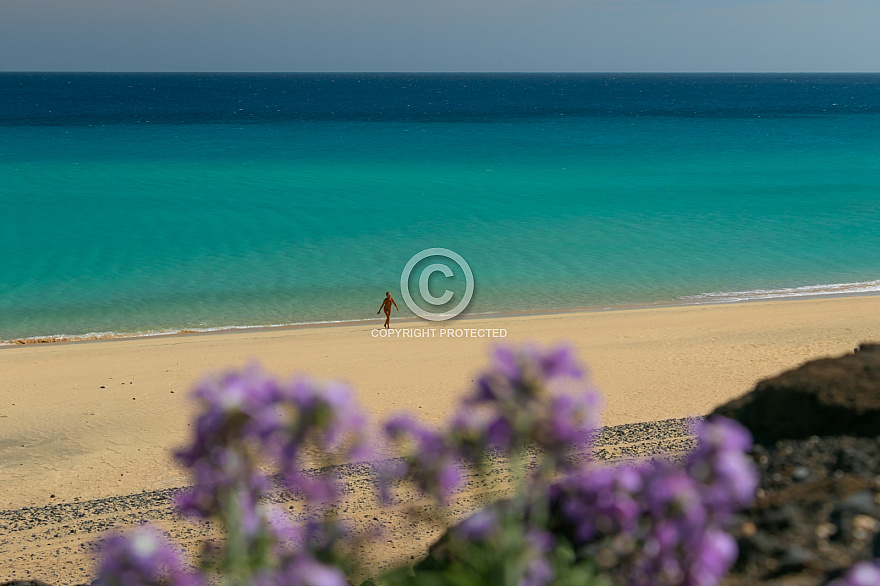 Playa de Mal Nombre - Fuerteventura