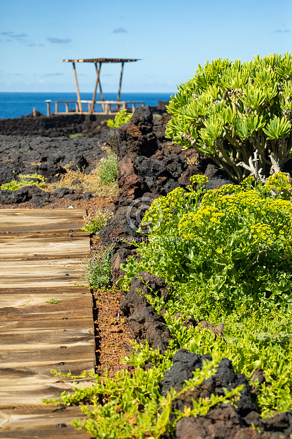 Sendero Lieral de Las Puntas - El Hierro