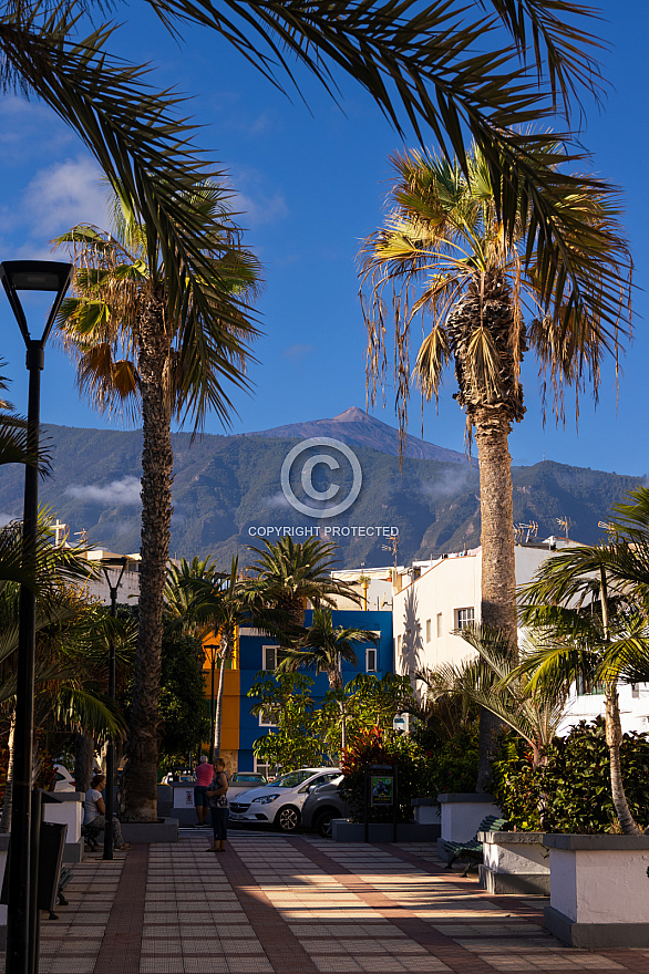 Puerto de La Cruz: Tenerife