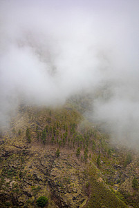 la bandera - el hornillo - agaete - gran canaria