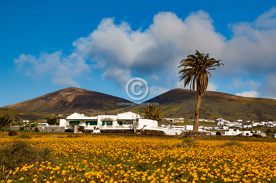 On the Road - Lanzarote