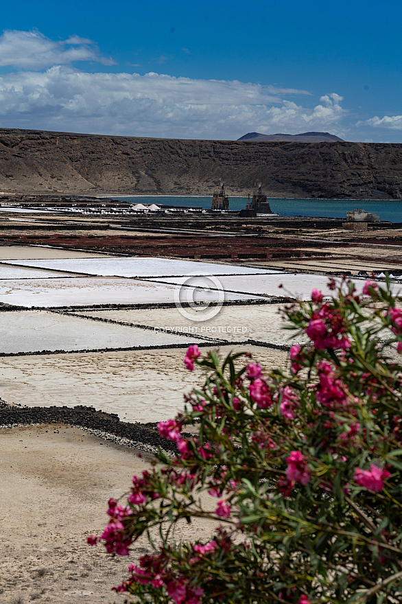 Mirador de las Salinas - Lanzarote