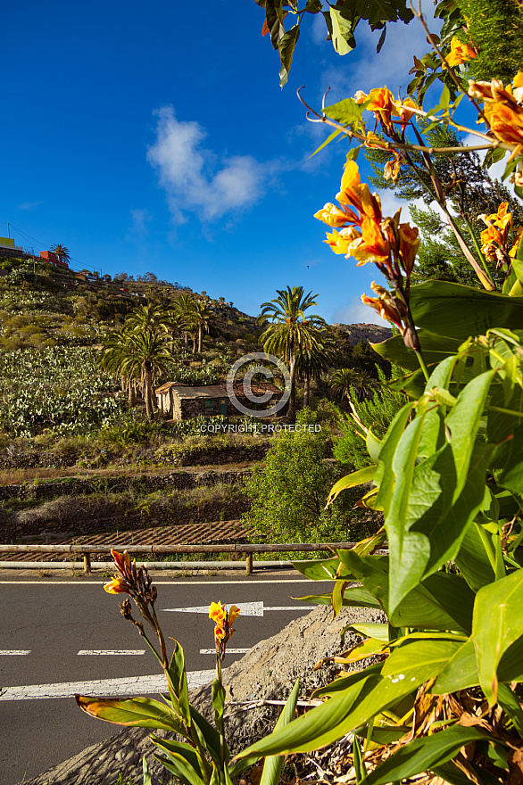 La Gomera: Las Rosas