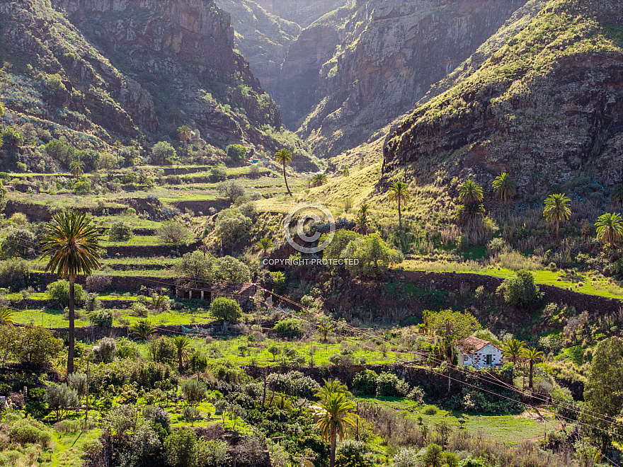 Valle de Agaete - Gran Canaria