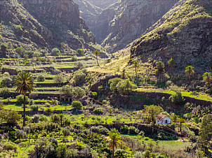 Valle de Agaete - Gran Canaria