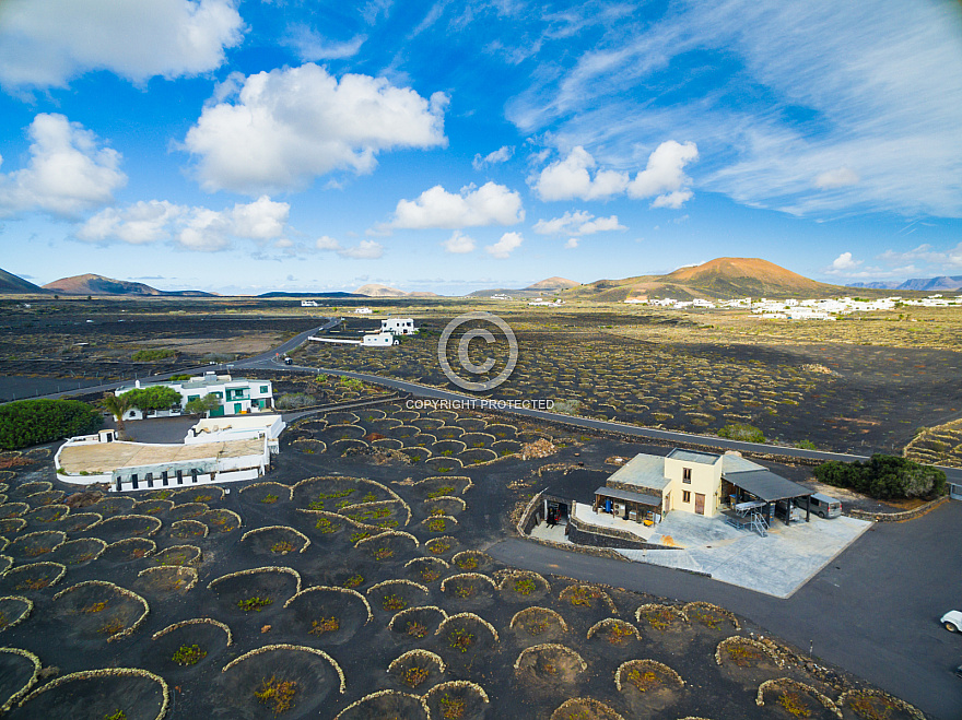 Bodegas Martinón - Lanzarote