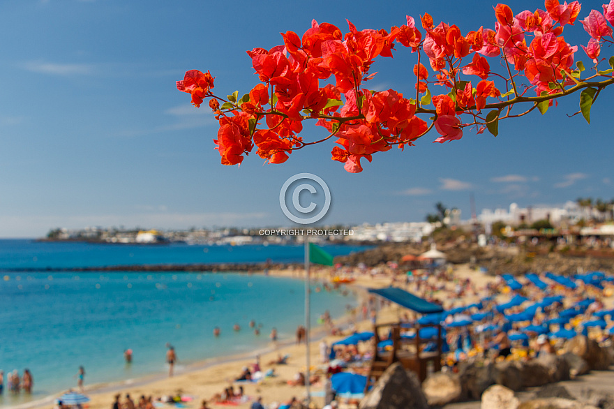 Playa Dorada . Lanzarote