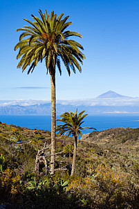 La Gomera: Mirador de Abrante