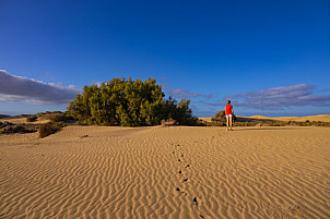 Dunas de Maspalomas: Senderos Y Miradores