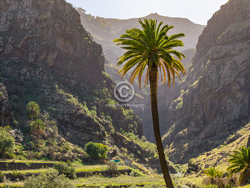 Valle de Agaete - Gran Canaria