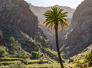 Valle de Agaete - Gran Canaria