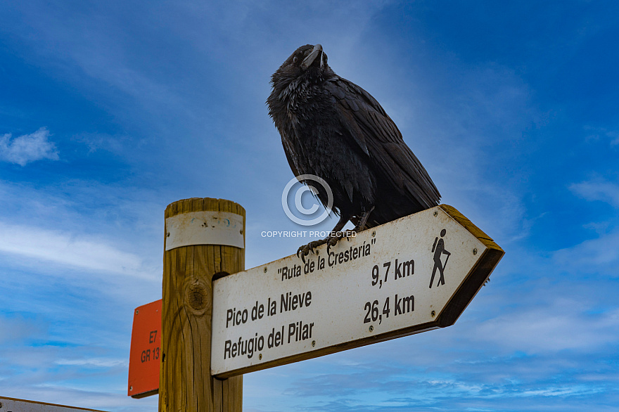 Near Roque de los Muchachos - La Palma