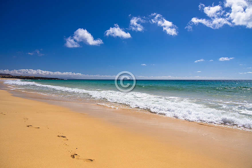 La Graciosa: Playa De Las Conchas