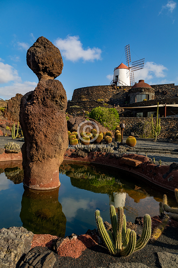 Jardín de Cactus - Lanzarote