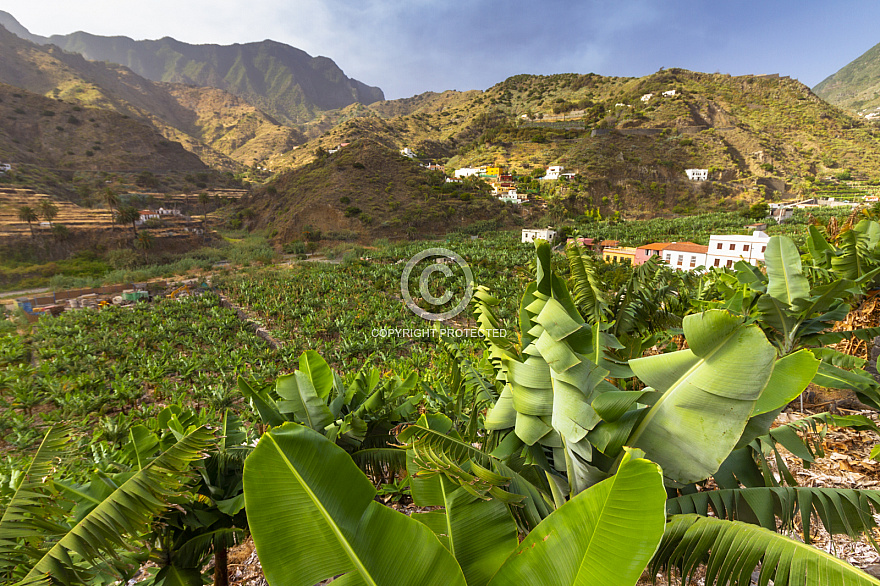 La Gomera: Hermigua