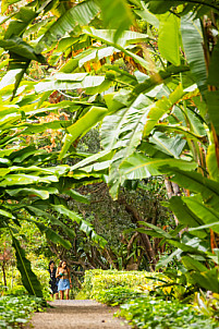 Tenerife: Jardín de Aclimatación de La Orotava