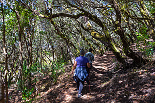 La Gomera