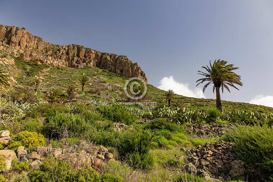 chipude - la gomera