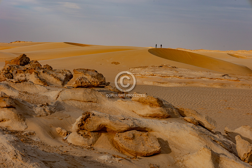 Deserts of Mauritania