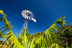 La Aldea - Gran Canaria