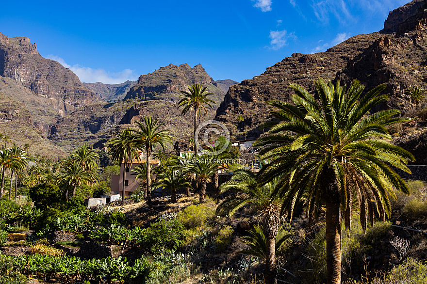 La Gomera: Barranco de Santiago