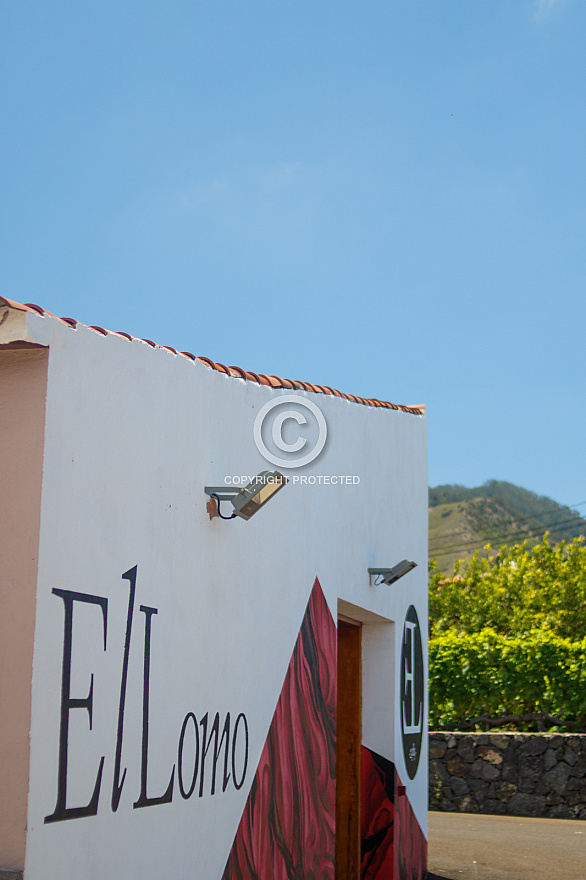 Bodegas El Lomo - Tenerife