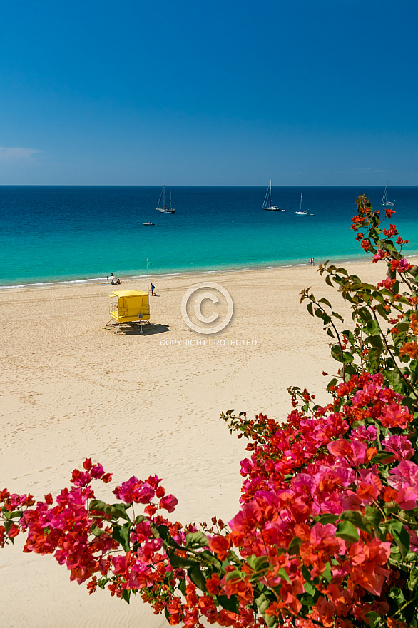 Morro Jable - Fuerteventura