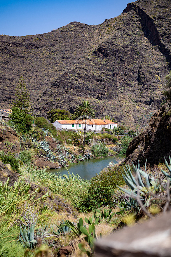 Chejelipes - Barranco de Las Lajas