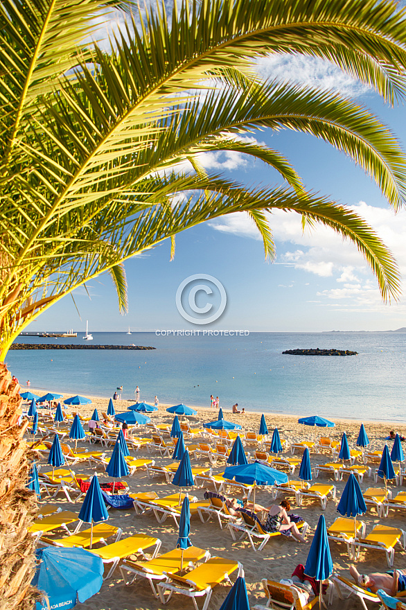 Playa Dorada - Lanzarote