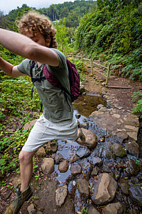 El Cedro - Garajonay