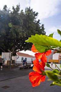 La Palma: Santa Cruz