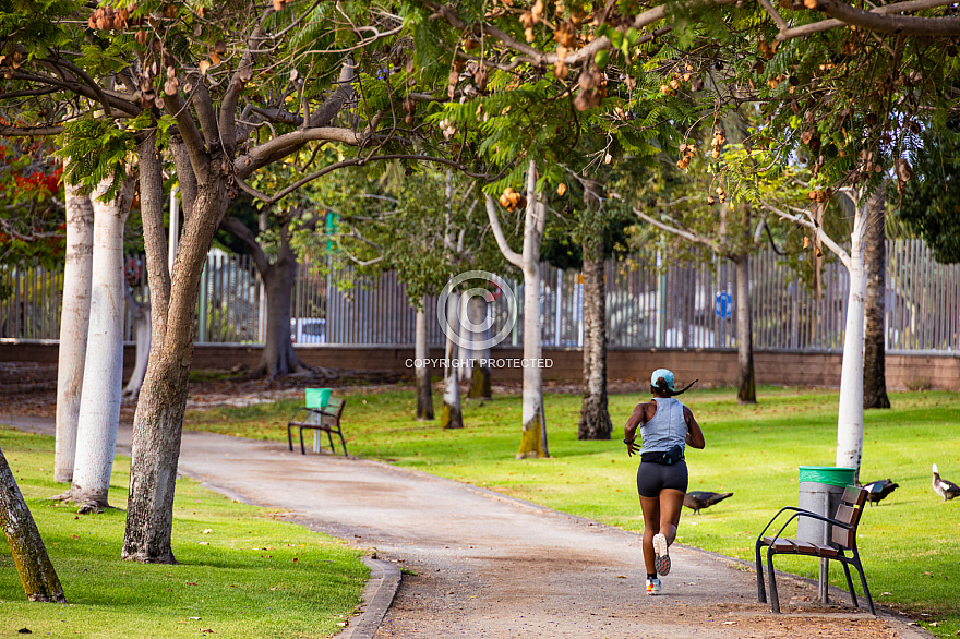 Parque del Sur en Campo Internacional Maspalomas