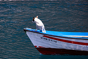 La Gomera: Valle Gran Rey