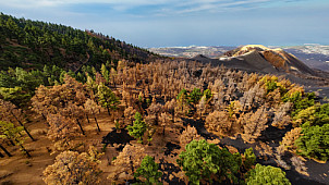 Volcán Tajogaite - La Palma