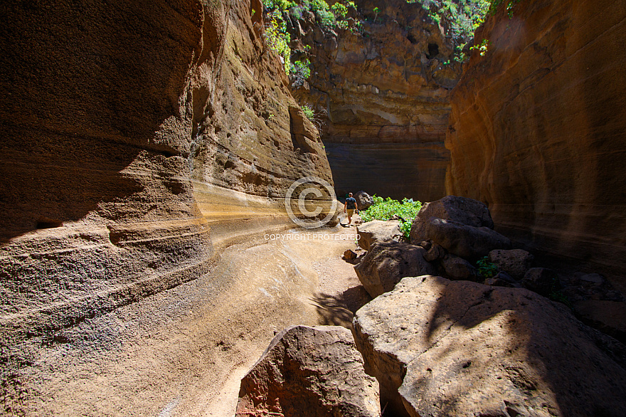 Barranco de las Vacas / Barafonso