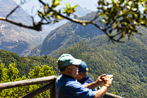 Mirador Pico del Inglés: Tenerife