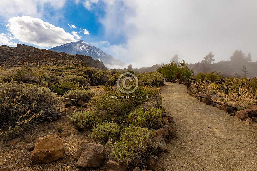 Centro de Visitantes de El Portillo Parque Nacional del Teide - Jardín Botánico - Tenerife