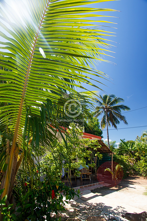 Cuba