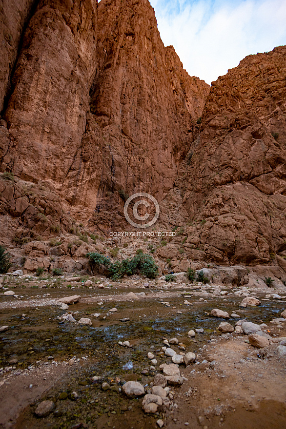 Todgha Gorge