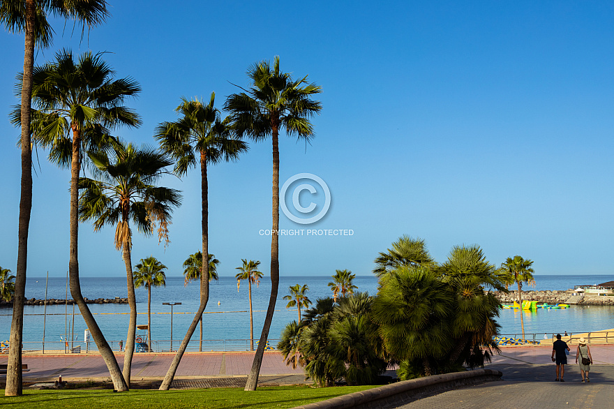 Playa de Amadores