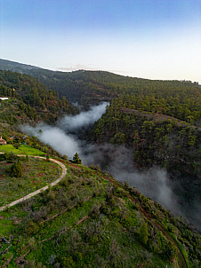 las Tricias (atardecer) - La Palma