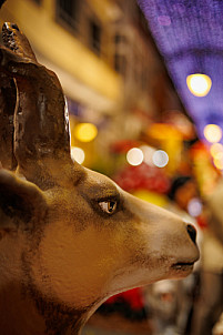 Xmas navidad en Gáldar