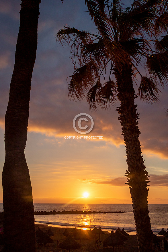 Playa de El Bobo y Troya - Tenerife