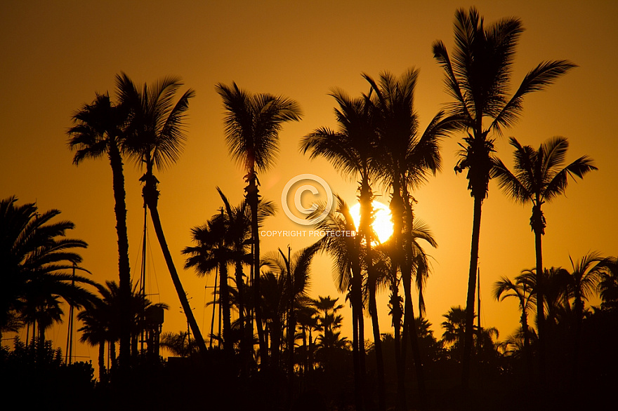 Anfi Beach at Sunset