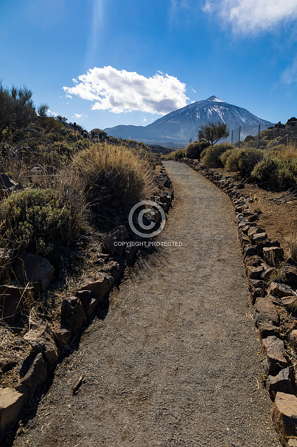 Centro de Visitantes de El Portillo Parque Nacional del Teide - Jardín Botánico - Tenerife