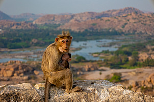 Hampi - India