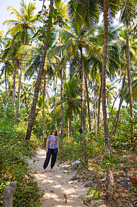 Goa - India