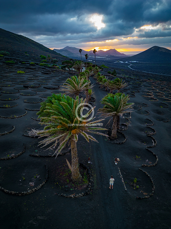 La Geria - Lanzarote