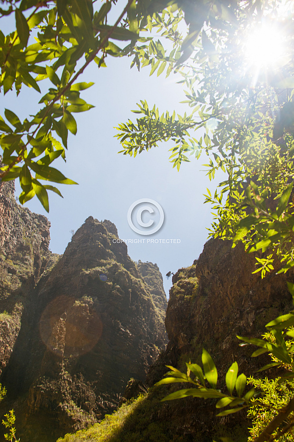 Barranco del Infierno - Tenerife