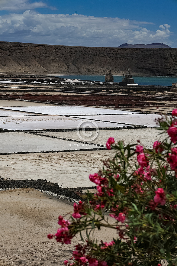 Mirador de las Salinas - Lanzarote